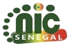 .sn zone registry logo